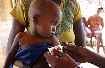 Madagaszkár déli részét már négy éve aszály sújtja, kevés az élelem
