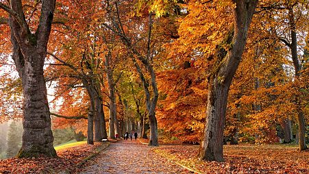 Europe is full of autumnal colours.