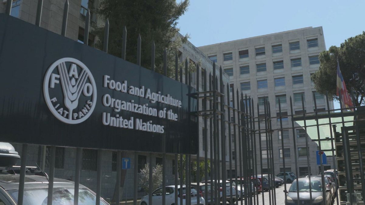 Summit FAO contro la fame nel mondo