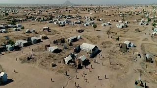 Refugees in Cameroon started helping build a green wall to stop the desert.