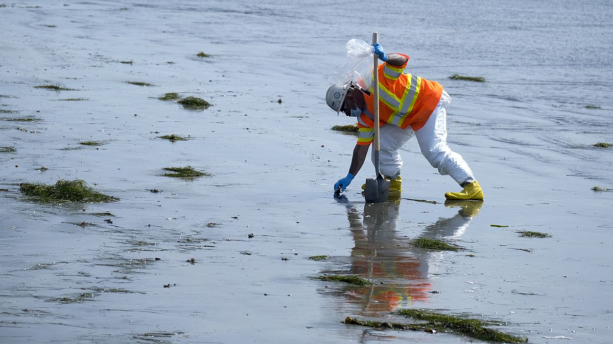 Operação de limpeza da maré negra na Califórnia