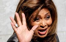 Tina Turner has just signed away the rights to her music, name, and image to BMG