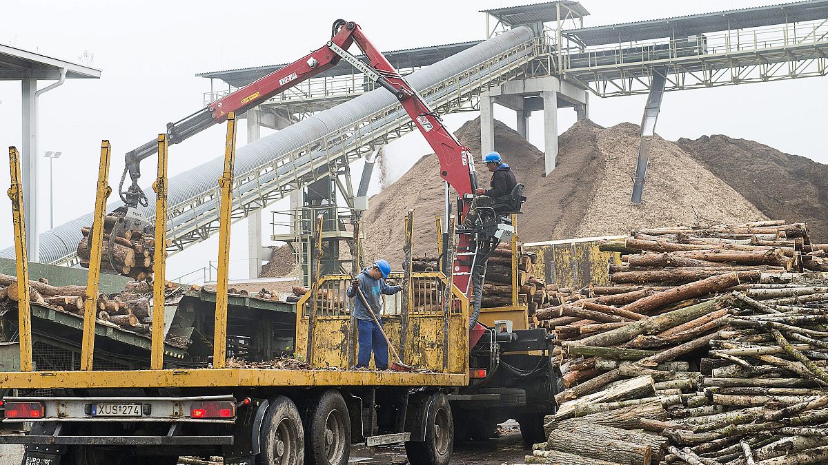 100 charities urge the EU to end use of some biomass as 'renewable' energy 