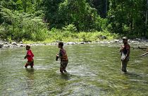Natural rivers and intact rainforest areas in the Bainings region of East New Britain Province, Papua New Guinea.