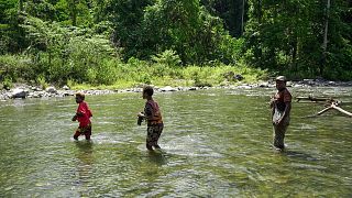 Natural rivers and intact rainforest areas in the Bainings region of East New Britain Province, Papua New Guinea.