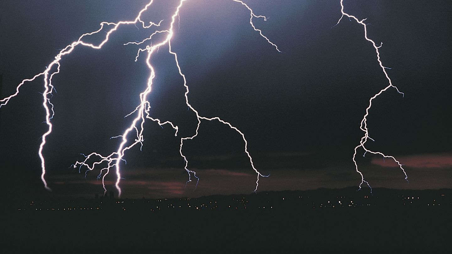 How is artificial lightning helping cows cut their carbon emissions? |  Euronews