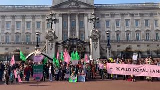 Jóvenes ecologistas animan a la familia real británica a restaurar los ecosistemas de sus tierras