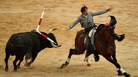 Some forms of the game are considered blood sport, but in Spain bullfighting is a cultural event