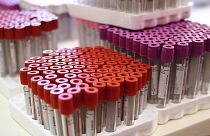 Racks of test tubes filled with blood are pictured on July 6, 2012 at a blood collection centre in Paris, France.