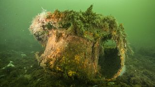 Weapons abandoned after the two world wars litter the Baltic Sea floor. 