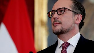 Avusturya'nın yeni Başbakanı Alexander Schallenberg yemin ederek göreve başladı