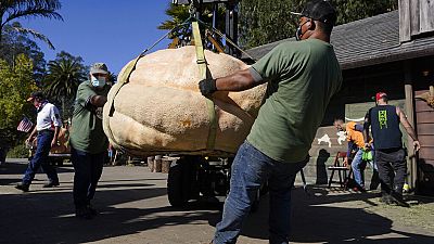 People haul a pumpkin to be loaded onto a scale to be weighed at the Safeway World Championship Pumpkin Weigh-Off in Half Moon Bay.