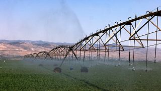 نظام ري محوري مركزي يرش المياه في الحقول الزراعية قرب الحدود مع الأردن