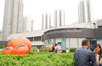 Огороды на крышах и другие европейские проекты в Гонконге