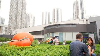 Огороды на крышах и другие европейские проекты в Гонконге