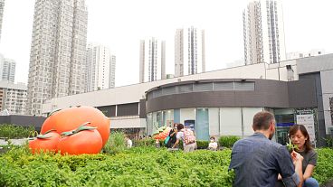 Hong Kong's start-up ecosystem goes sky-high