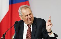 Milos Zeman addresses the media during a joint press conference in Vienna in June.