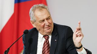 Milos Zeman addresses the media during a joint press conference in Vienna in June.