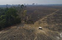 Products made in deforested lands in the Amazon would be banned from entering the EU single market under the new rules.