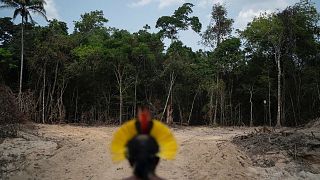 Krimej Indigenous Chief Kadjyre Kayapo looks out at a path created by loggers in Altamira, Para state, Brazil.