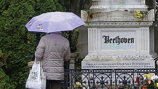 A woman pays her respect in front of the tombstone of German composer Ludwig van Beethoven