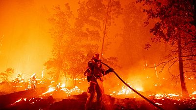 Kampf gegen die Flammen in Nordkalifornien