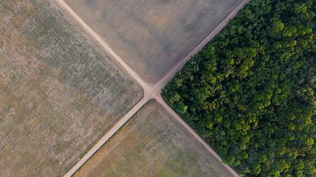 A fragment of Amazon rainforest stands next to soy fields in Belterra, Para state, Brazil.