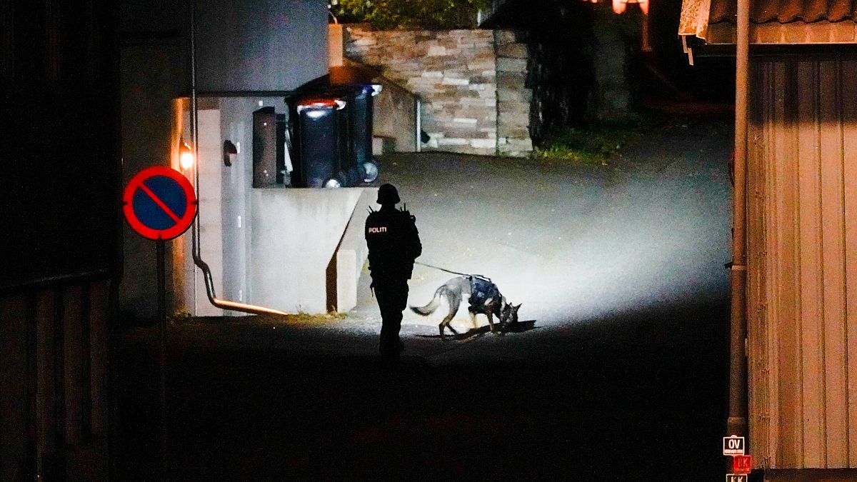 Un policier inspecte les lieux après une attaque avec un arc et des flèches qui a fait 5 morts à Kongsberg en Norvège, le 14 octobre 2021