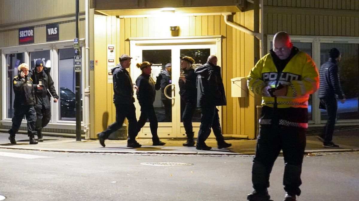 Cinco mortos em vários ataques na Noruega