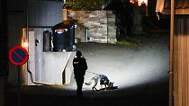 Un policía rastrea con un perro la zona del ataque con arco que dejó varios muertos en Kongsberg, Noruega