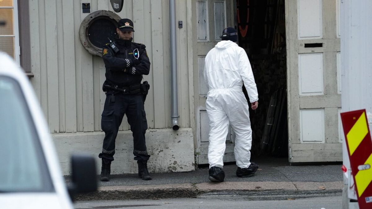 Norveç'te oklu saldırıda 5 kişi öldü: Şüphelinin radikalleşme eğilimi vardı
