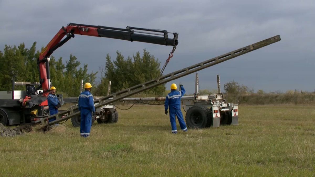 Hungría tumba postes eléctricos para salvar a la avutarda