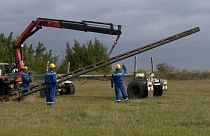 Hungría tumba postes eléctricos para salvar a la avutarda