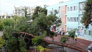 Πτώση δέντρου στο προαύλιο του 31ου ΓΕΛ Θεσσαλονίκης, τις πρώτες πρωϊνές ώρες λόγω της κακοκαιρίας που έπληξε την πόλη της Θεσσαλονίκης