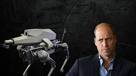 Prince William was critical of the space tourism industry this week.