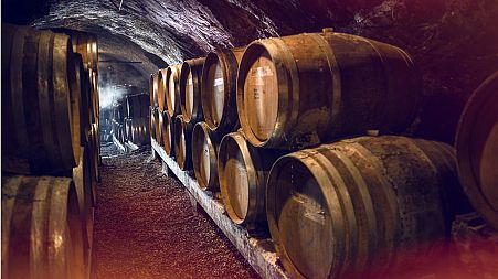 Swiss wine matures in a Valais cellar