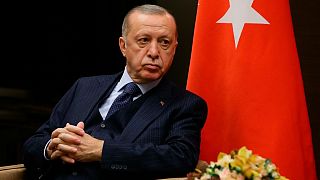رجب طیب اردوغان، رئيس جمهوری ترکیه