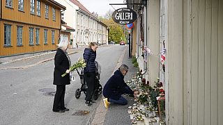 Norveç'i sarsan cinayetler hangi silahla işlendi?