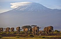 Kilimanjaro Dağı, Tanzanya
