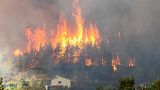 Tatil beldesi Marmaris’e bağlı Hisarönü köyünde orman yangını (2 Ağustos 2021)