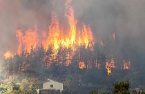 Waldbrand in Hisaronu, einem Viertel des türkischen Badeorts Marmaris, am 2. August 2021