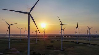 Almanya'nın doğusunda Jacobsdorf'da bulunan yenilenebilir enerji parkındaki rüzgar türbinleri.