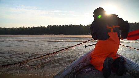 Warm water: How climate change is affecting the Baltic Sea