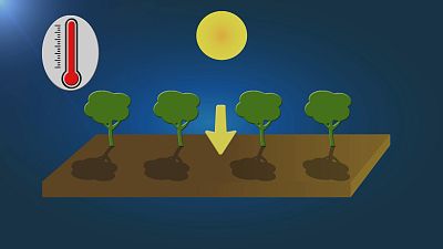 Cambiamento climatico: dipende dall'attività umana ma non solo