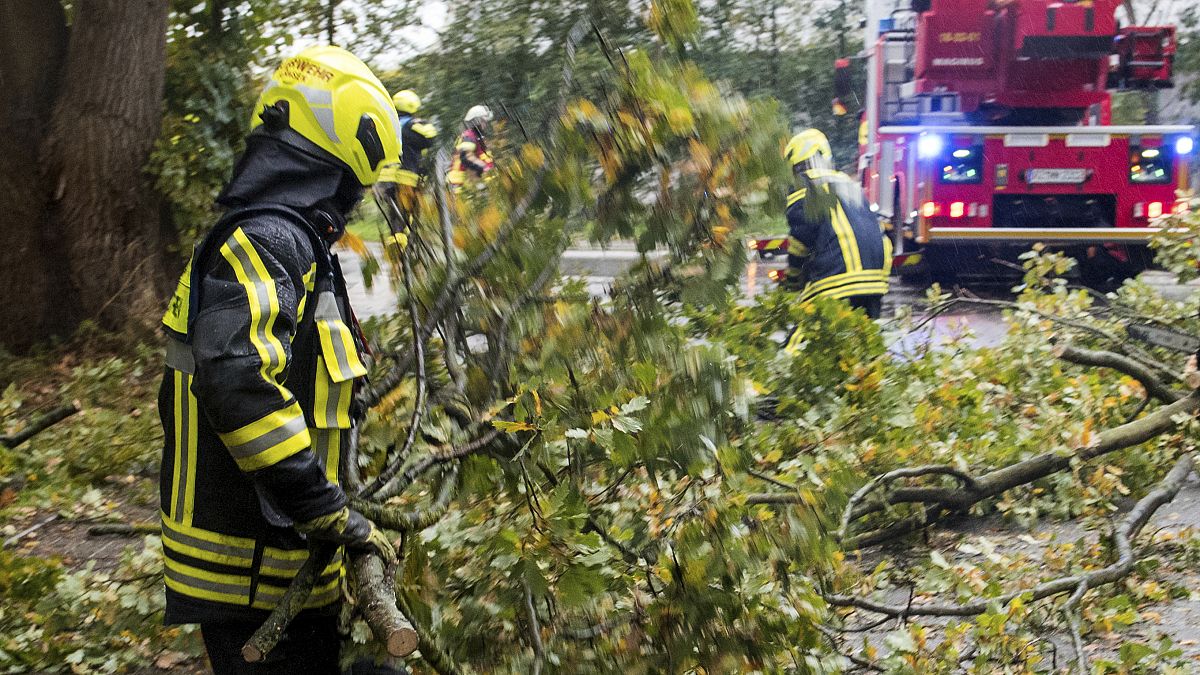 A firefighter removes fallen trees from a road in Hamburg, Germany, Oct. 21, 2021. 