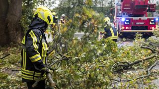 A firefighter removes fallen trees from a road in Hamburg, Germany, Oct. 21, 2021.