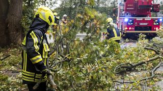 A firefighter removes fallen trees from a road in Hamburg, Germany, Oct. 21, 2021. 