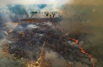 Fire rages on land deforested by cattle farmers in Brazil, 2020.