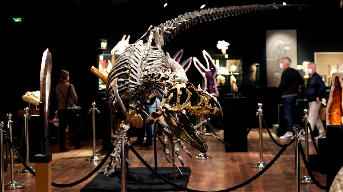 هيكل عظمي لديناصور ألوسوروس معروض في دار مزادات دروو في باريس في 10 أكتوبر2020.