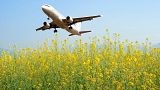 ABD'de geliştirilen ve hardal bitkisi kullanılarak üretilen kerosenin normal uçak yakıtlarına göre karbon salınımı yüzde 68 daha düşük.